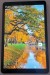 Walton Walpad 10P 4/128 (used)